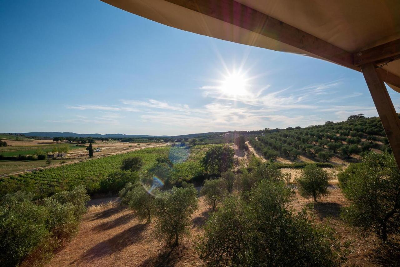 Glamping Podere San Jacopo Massa Marittima Exterior photo