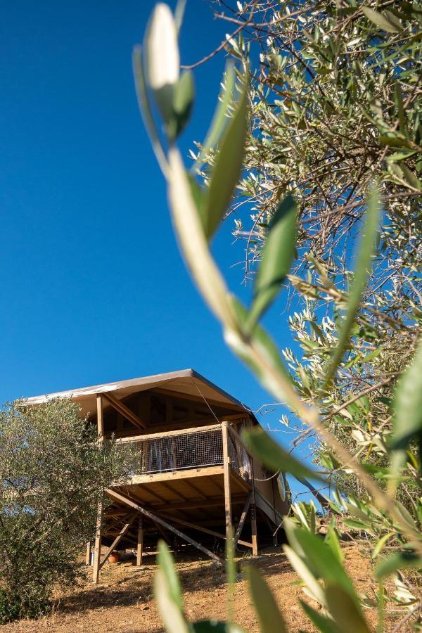 Glamping Podere San Jacopo Massa Marittima Exterior photo